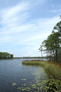 WaterColor Florida - Western Lake