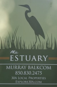 The Estuary