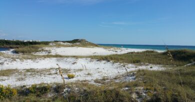 South Walton's Coastal Dune Lakes