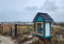 Grayton Beach Book Library