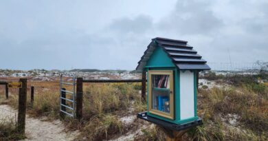 Grayton Beach Book Library