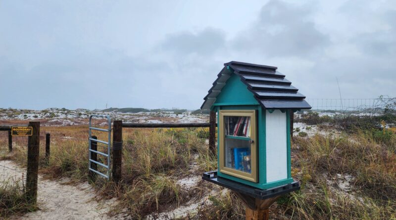 Grayton Beach Book Library