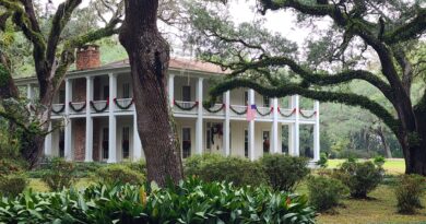 Christmas at Eden Gardens State Park