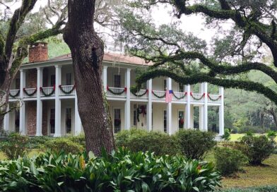 Christmas at Eden Gardens State Park