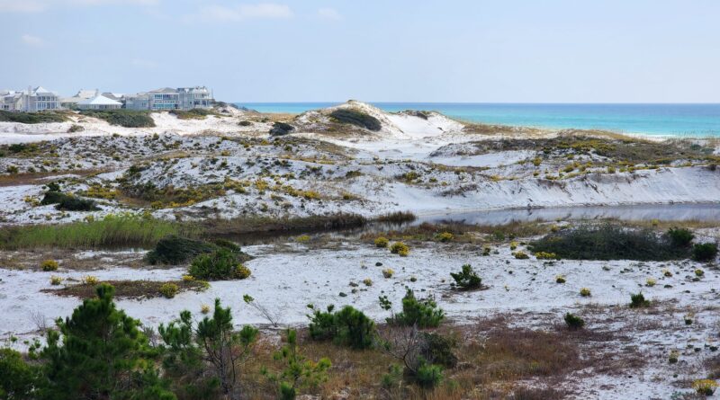 Why Grayton Beach Remains the Soul of 30A: A 2026 Guide to Buying in Florida’s Oldest Beach Town