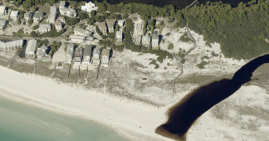 The Home Everyone is Watching This Week